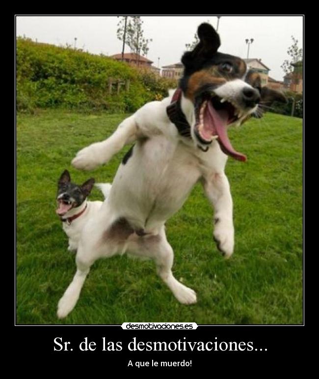 Sr. de las desmotivaciones... - A que le muerdo!