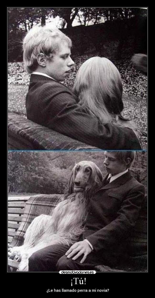 ¡Tú! - ¿Le has llamado perra a mi novia?