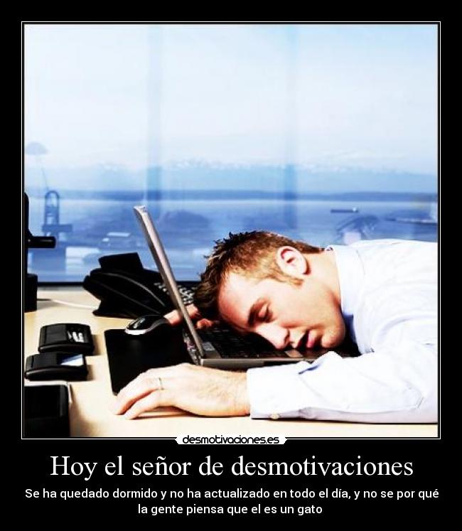 carteles desmotivaciones gatosdesmotivaciones senor las actualizar cola principal etc desmotivaciones