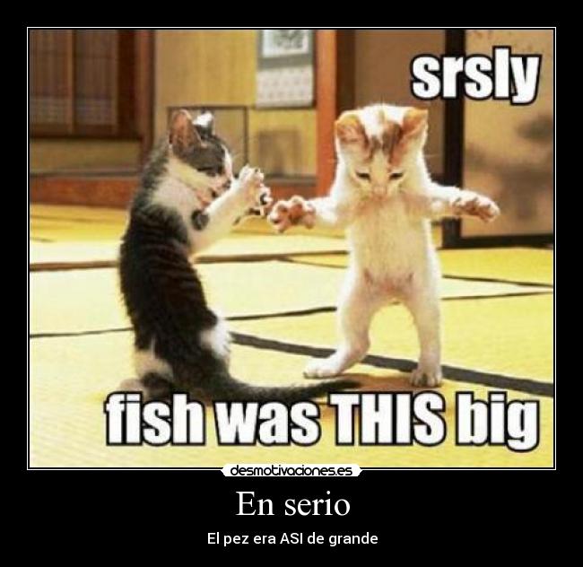En serio - El pez era ASI de grande