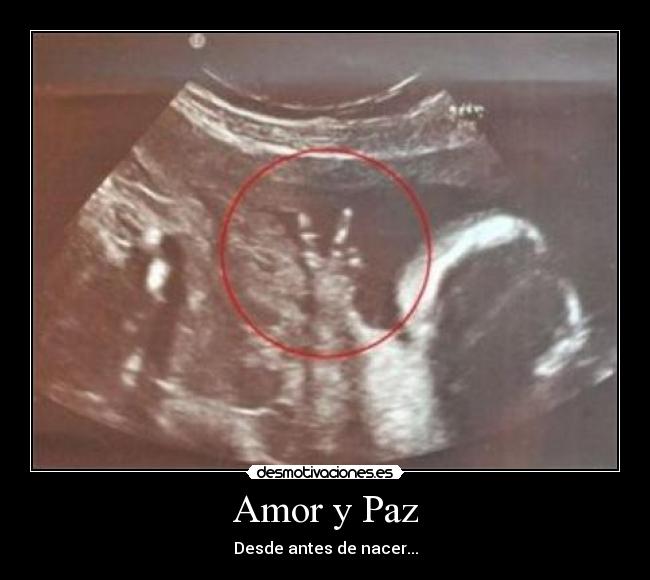 Amor y Paz - Desde antes de nacer...