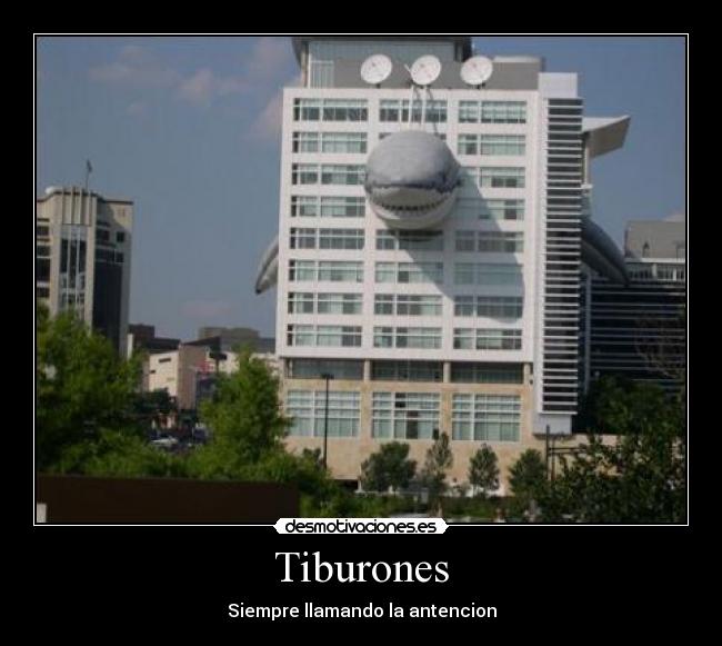 Tiburones - 