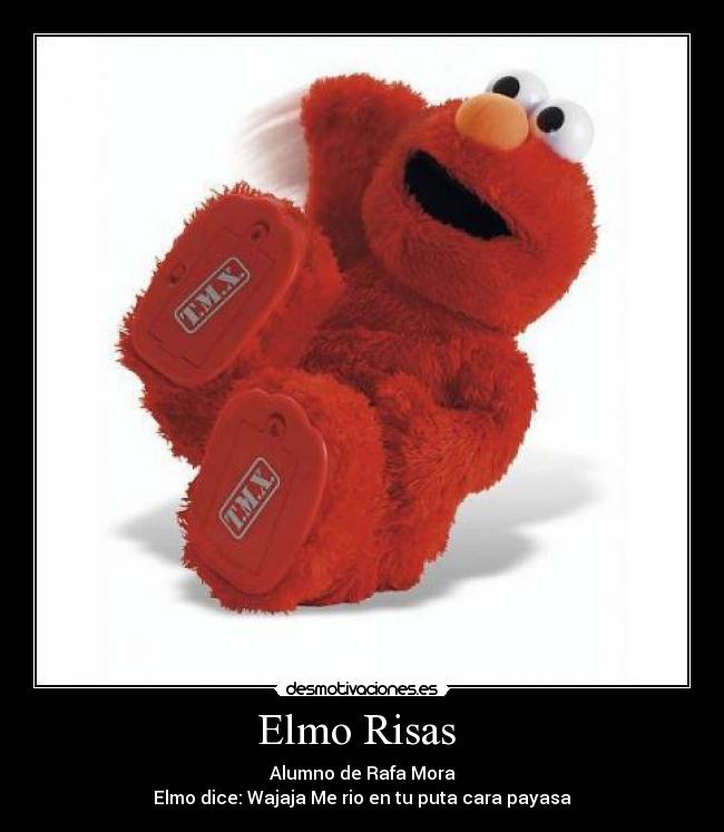 Elmo Risas  - Alumno de Rafa Mora
Elmo dice: Wajaja Me rio en tu puta cara payasa