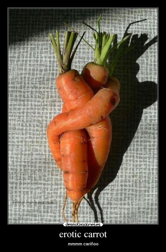 erotic carrot - 