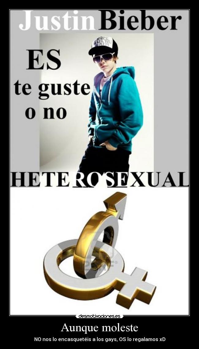 carteles justinbieberheterogaymaloalgusafilms desmotivaciones