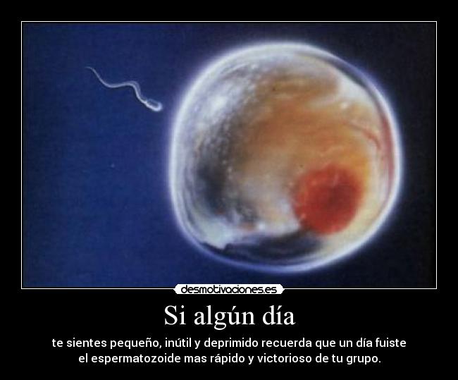 Si algún día - te sientes pequeño, inútil y deprimido recuerda que un día fuiste
el espermatozoide mas rápido y victorioso de tu grupo.