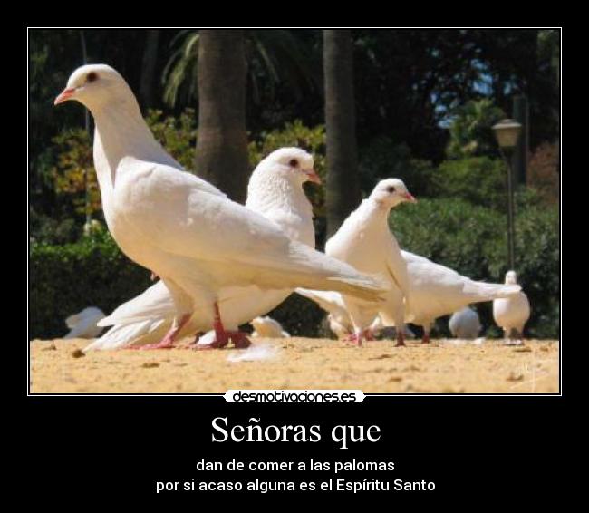 Señoras que - dan de comer a las palomas
por si acaso alguna es el Espíritu Santo