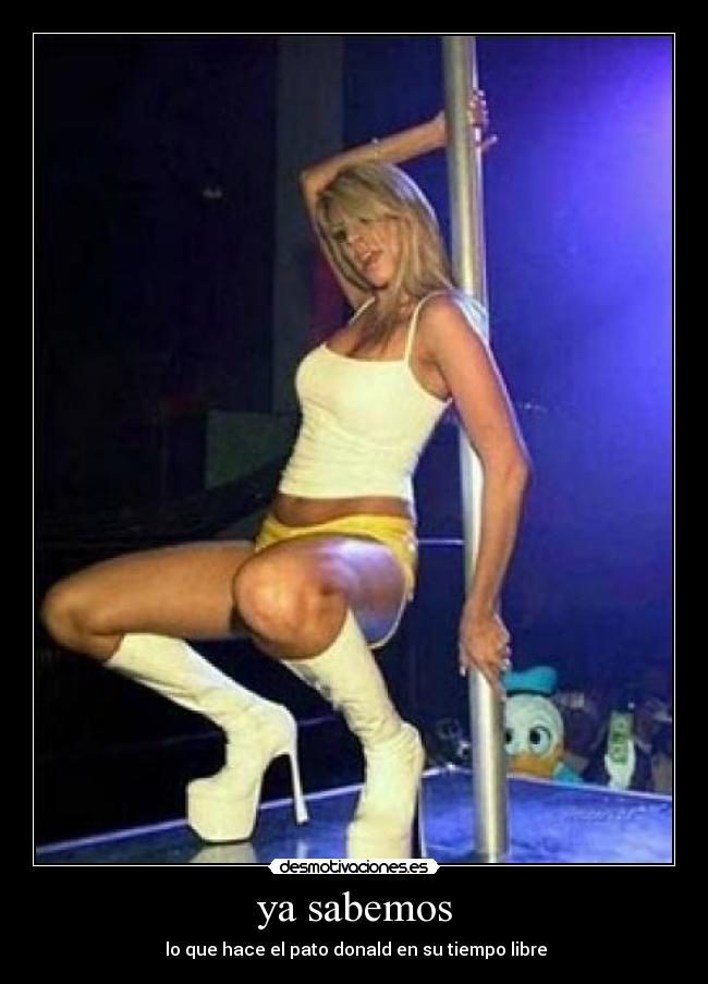 ya sabemos - lo que hace el pato donald en su tiempo libre
