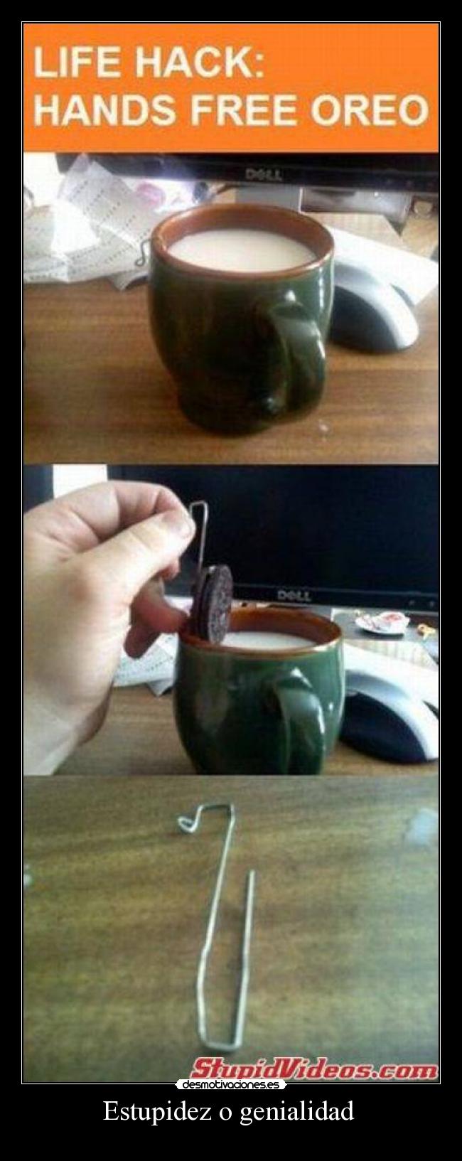 Estupidez o genialidad  - 