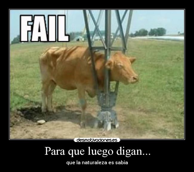 carteles lol naturaleza desmotivaciones