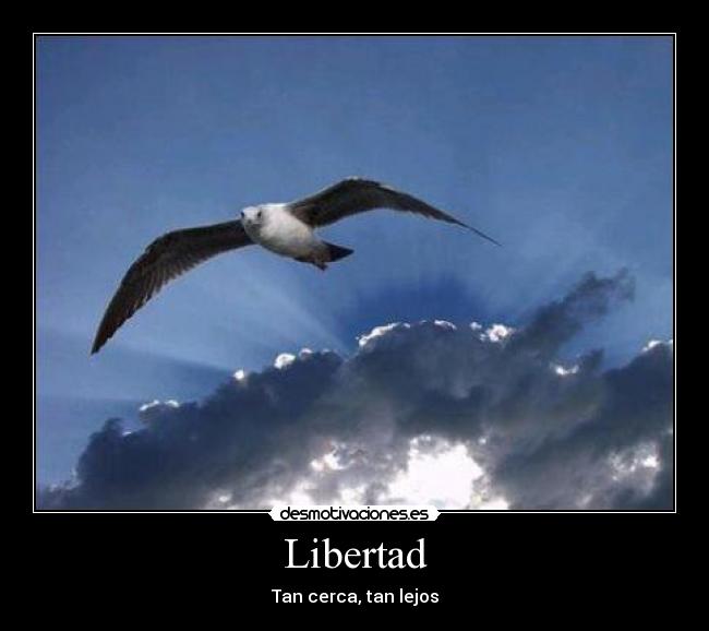 Libertad - 