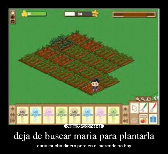 deja de buscar maria para plantarla - daria mucho dinero pero en el mercado no hay