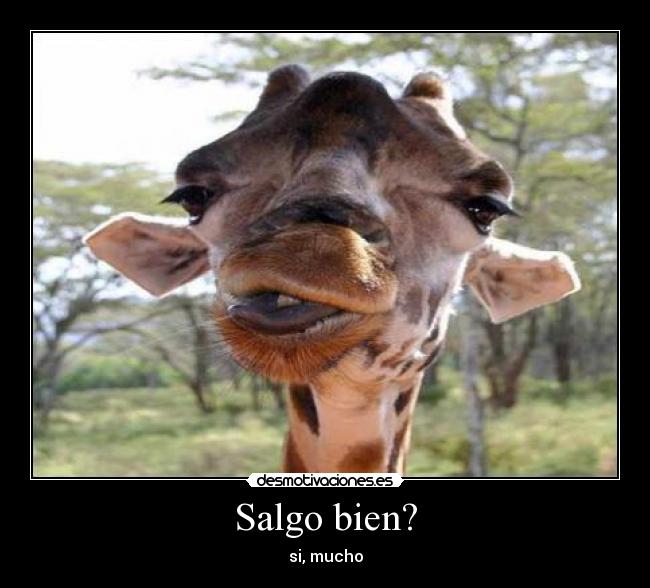 Salgo bien? - si, mucho