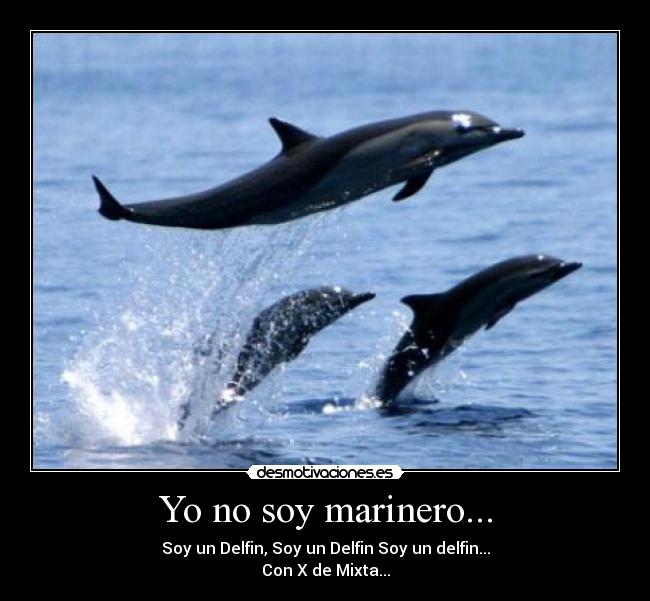 Yo no soy marinero... - Soy un Delfin, Soy un Delfin Soy un delfin...
Con X de Mixta...