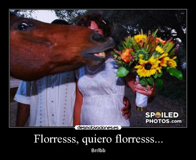 Florresss, quiero florresss... -