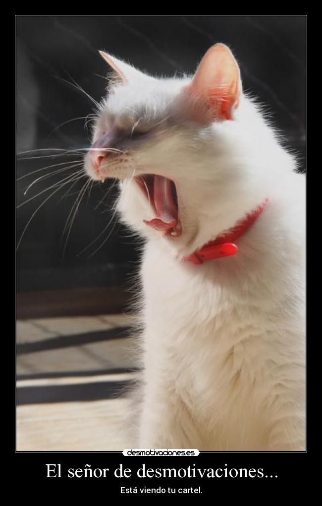carteles desmotivaciones senor desmotivaciones desmotivaciones