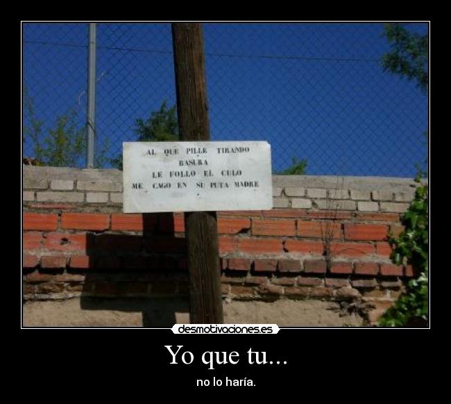 Yo que tu... -