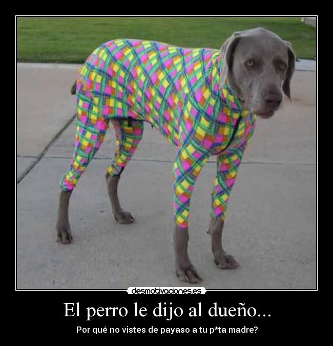 El perro le dijo al dueño... - 