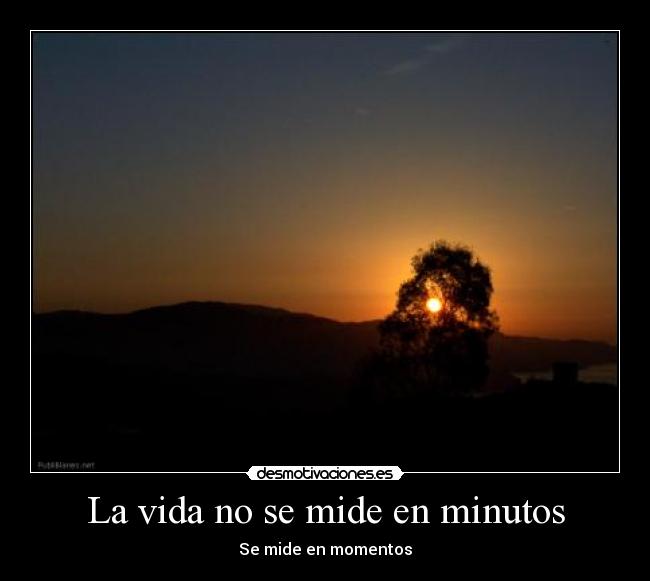 carteles vida vida desmotivaciones