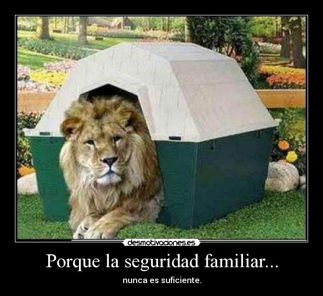 carteles leon casa seguridad desmotivaciones