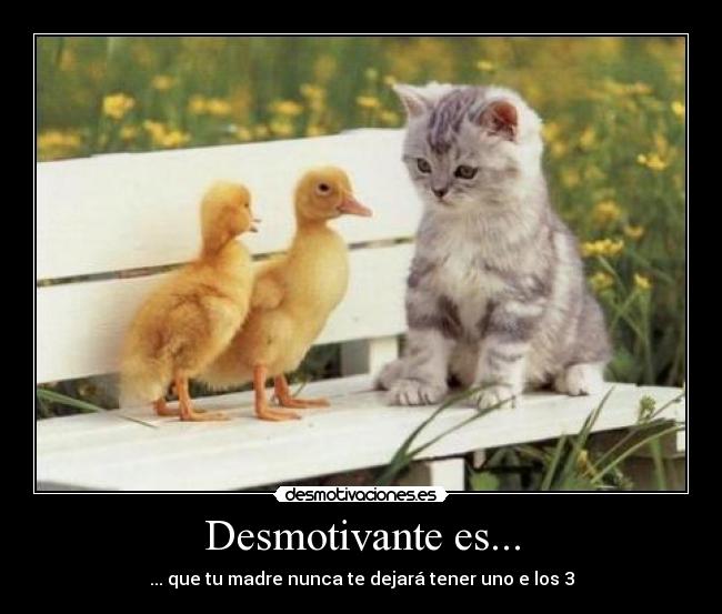 Desmotivante es... - 