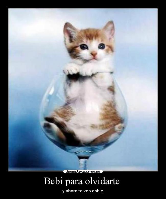 Bebi para olvidarte - y ahora te veo doble.