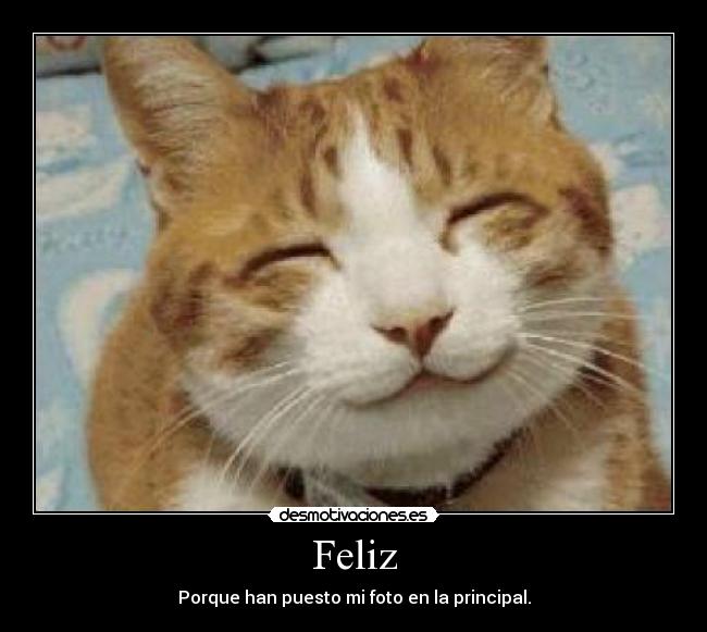 carteles feliz desmotivaciones