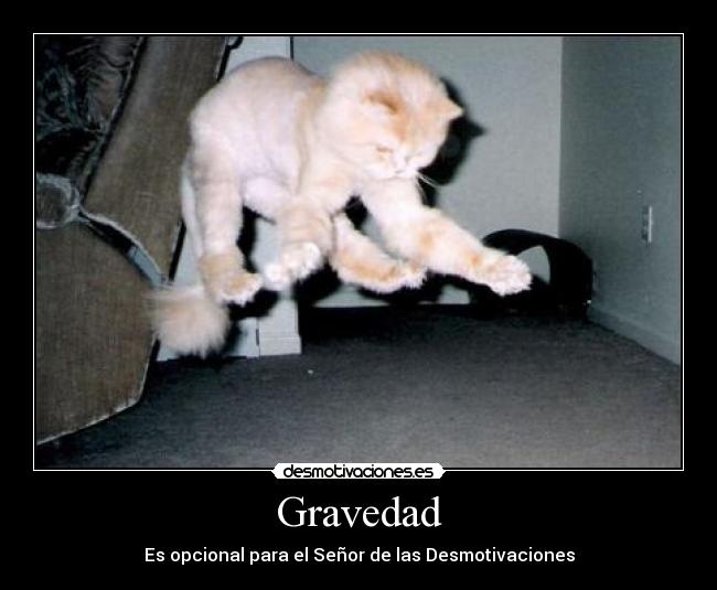 Gravedad - 