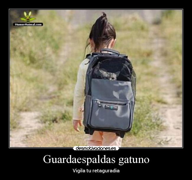 Guardaespaldas gatuno - 