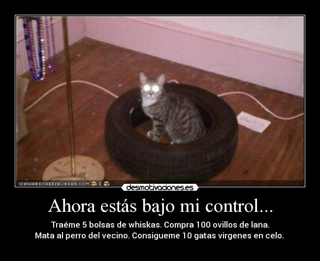 Ahora estás bajo mi control... - 