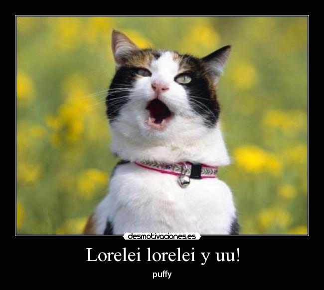 carteles leexcw chao desmotivaciones