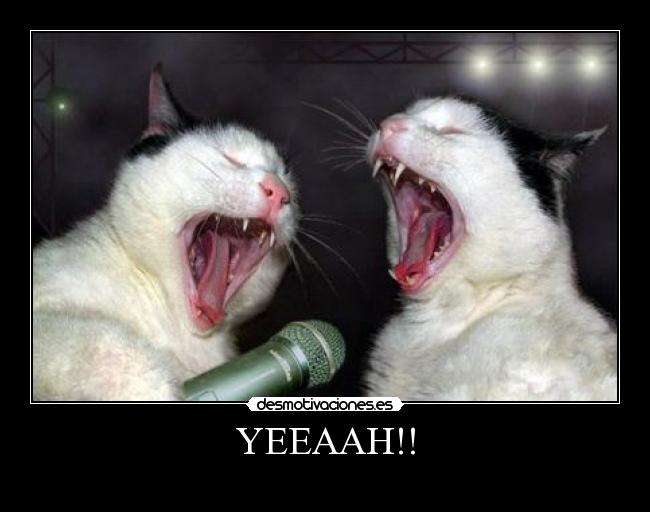 YEEAAH!! - 