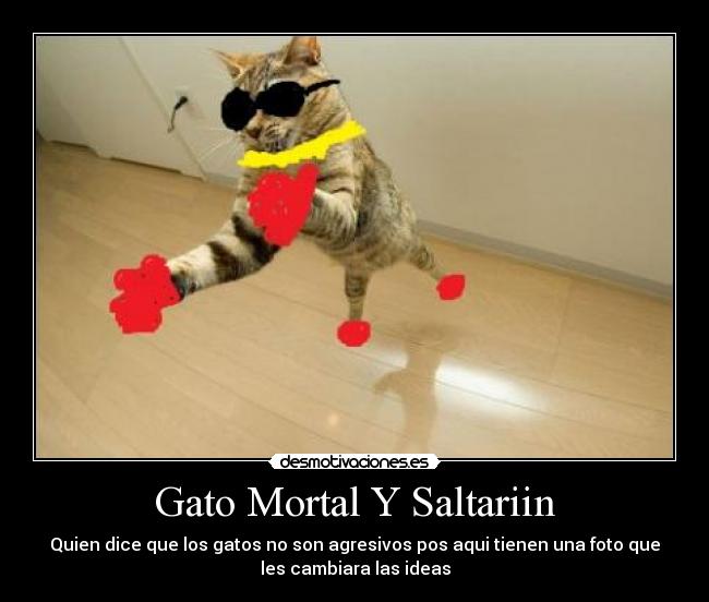 carteles gato mortal desmotivaciones