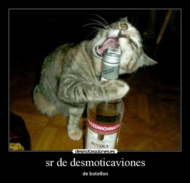 sr de desmoticaviones - de botellon