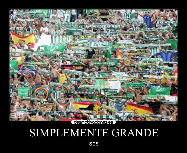 SIMPLEMENTE GRANDE - 