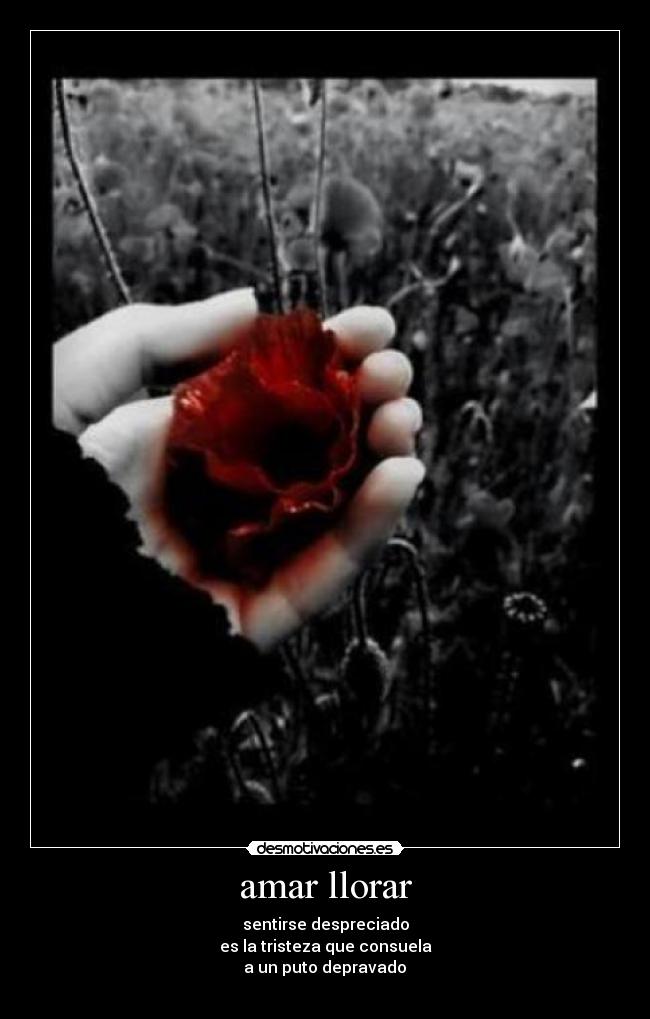 amar llorar - sentirse despreciado
es la tristeza que consuela
 a un puto depravado 
