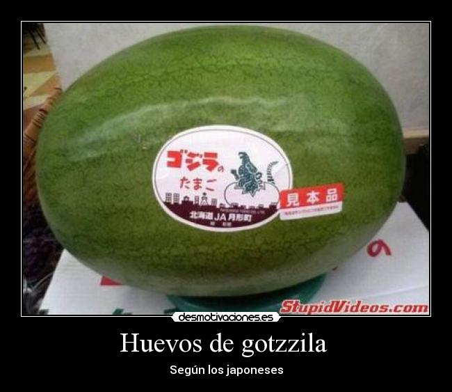 Huevos de gotzzila -