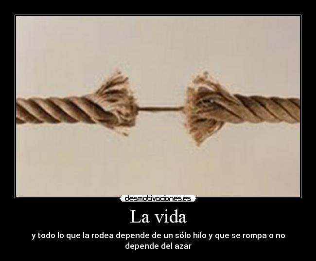 carteles vida vida desmotivaciones