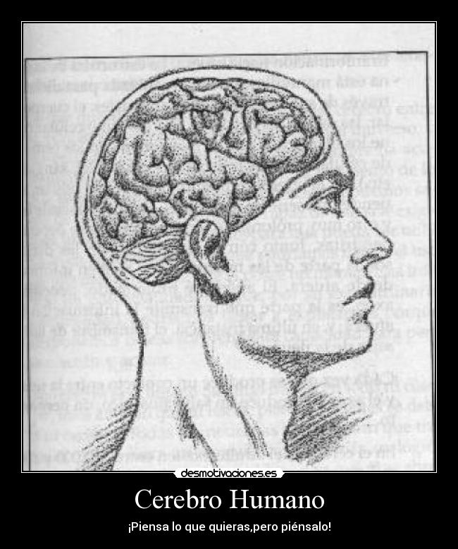 Cerebro Humano - ¡Piensa lo que quieras,pero piénsalo!