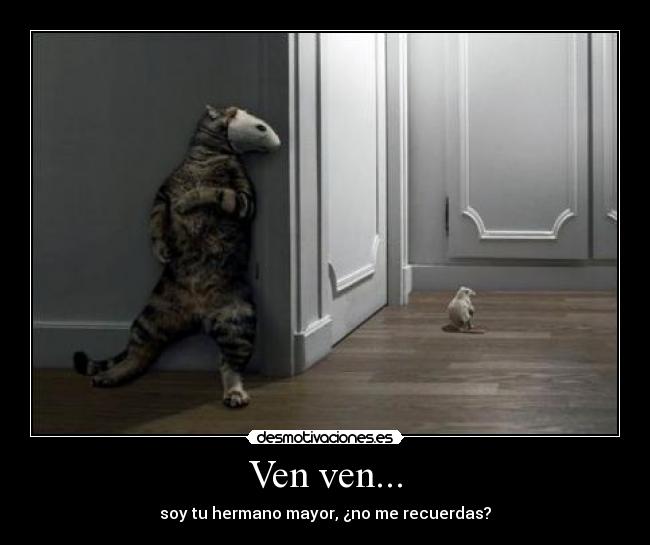 Ven ven... -