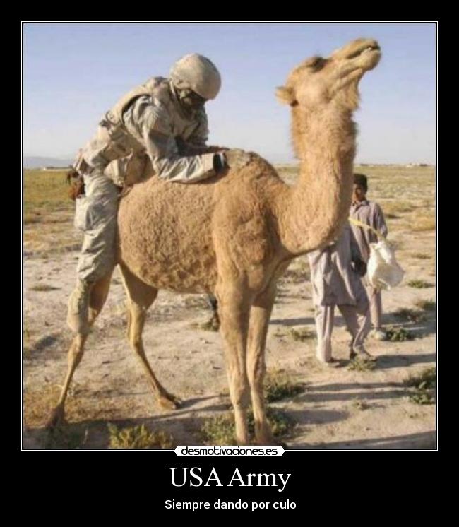 carteles americanos ejercito camello sexo con desmotivaciones