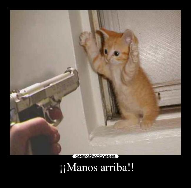 ¡¡Manos arriba!! -