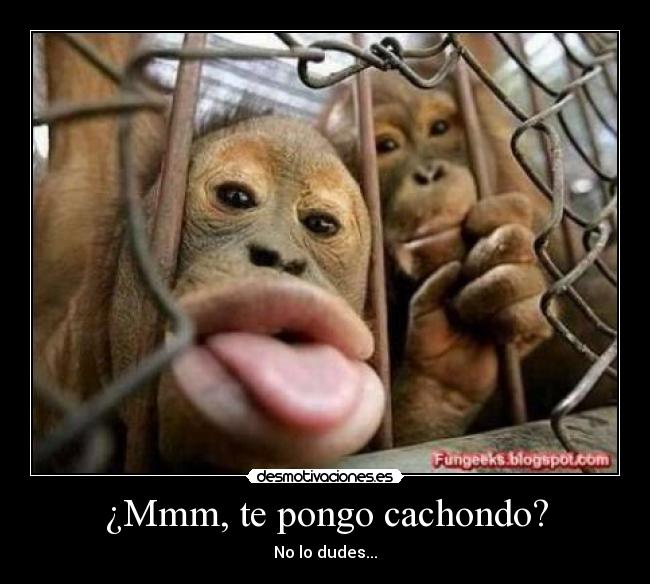 ¿Mmm, te pongo cachondo? - No lo dudes...
