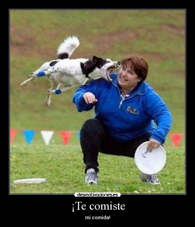 ¡Te comiste - 