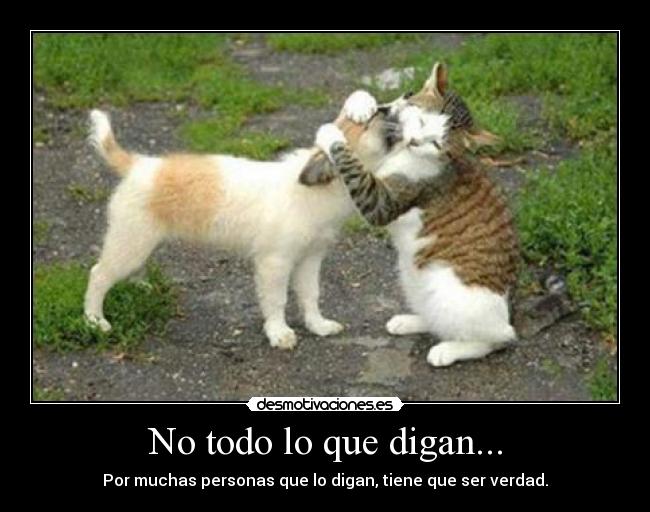 No todo lo que digan... - Por muchas personas que lo digan, tiene que ser verdad.