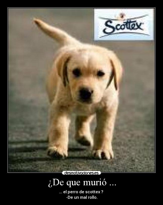 ¿De que murió ... - 