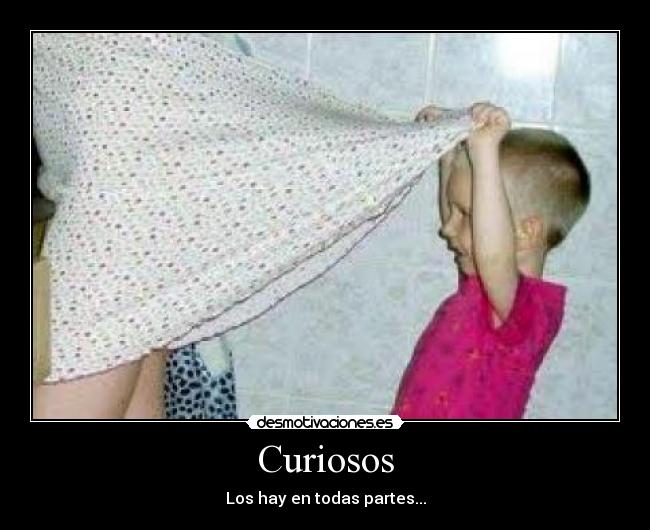 carteles internet desmotivaciones