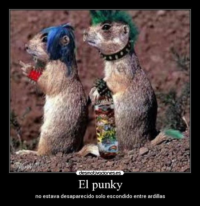 El punky - no estava desaparecido solo escondido entre ardillas
