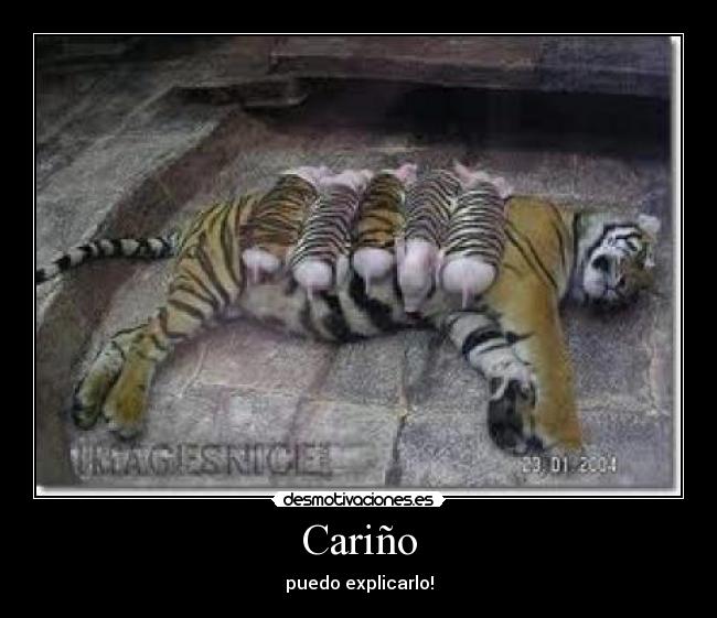 Cariño - puedo explicarlo!