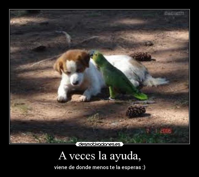 carteles ayuda shhh desmotivaciones